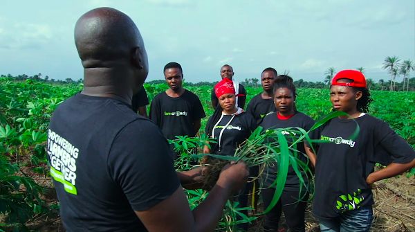 Farmcrowdy Ventures Into e-Commerce To Allow People Order For Fresh Farm Produce Online