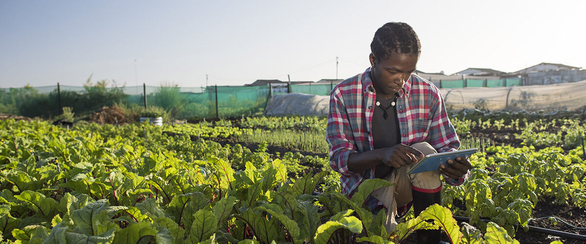 5 Reasons Why You Should Start A Business In Agriculture