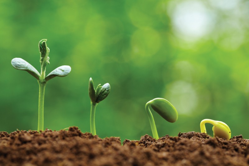 SMARTPRENEURS, Why You Should Start Small And Grow Big