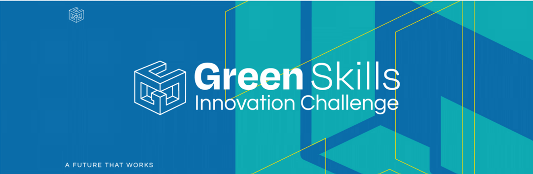 Green Skills Innovation Challenge 2021 For Social Entrepreneurs In Nigeria