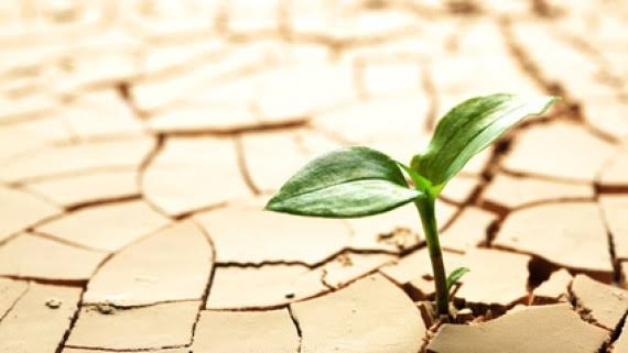 3 Powerful Lessons To Help You Survive Your First Year In Business