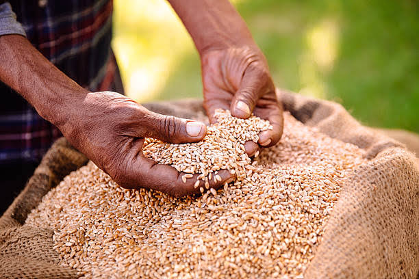 Nigerian Bakers Might Be Shutting Down Their Bakeries