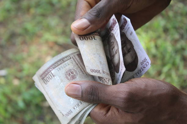 Sources of Funds in Nigeria