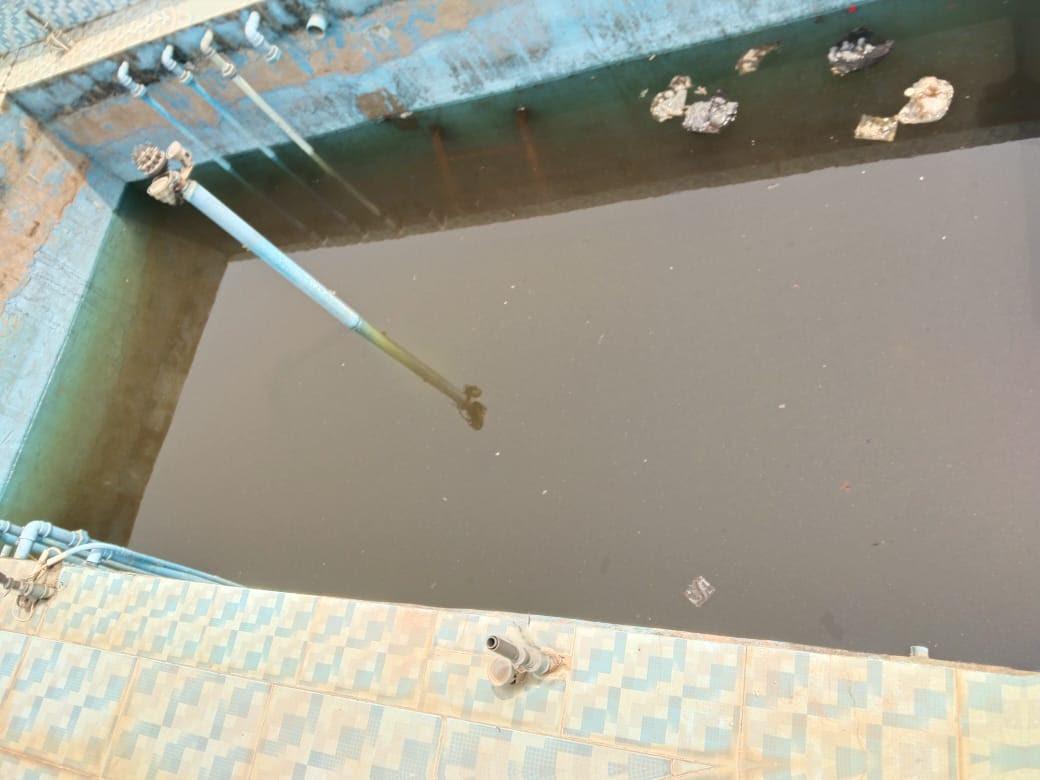 INVESTIGATION: Nelson Mandela Freedom Park Osogbo in Ruins, Abandoned, Overtaken by goats