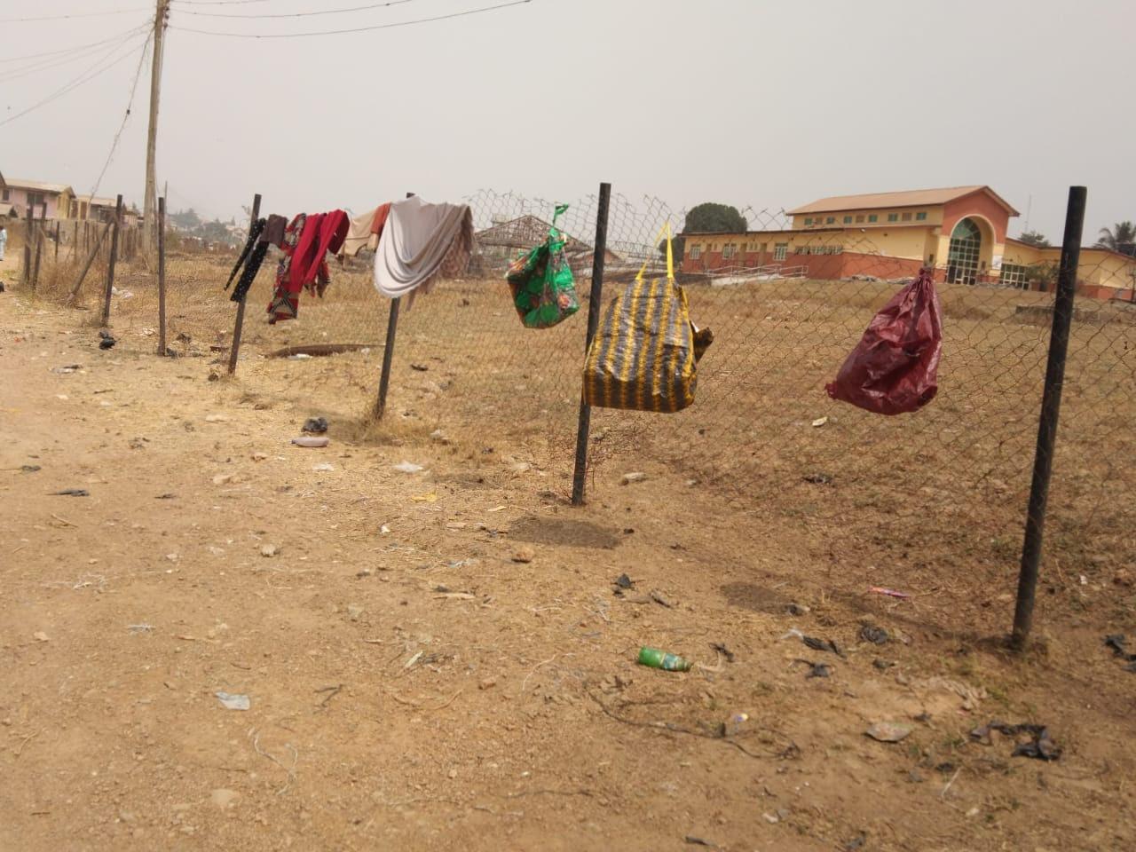 INVESTIGATION: Nelson Mandela Freedom Park Osogbo in Ruins, Abandoned, Overtaken by goats
