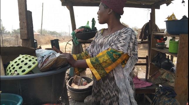 INVESTIGATION: Nelson Mandela Freedom Park Osogbo in Ruins, Abandoned, Overtaken by goats