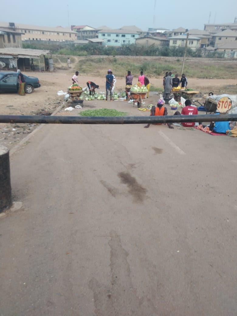 INVESTIGATION: Nelson Mandela Freedom Park Osogbo in Ruins, Abandoned, Overtaken by goats