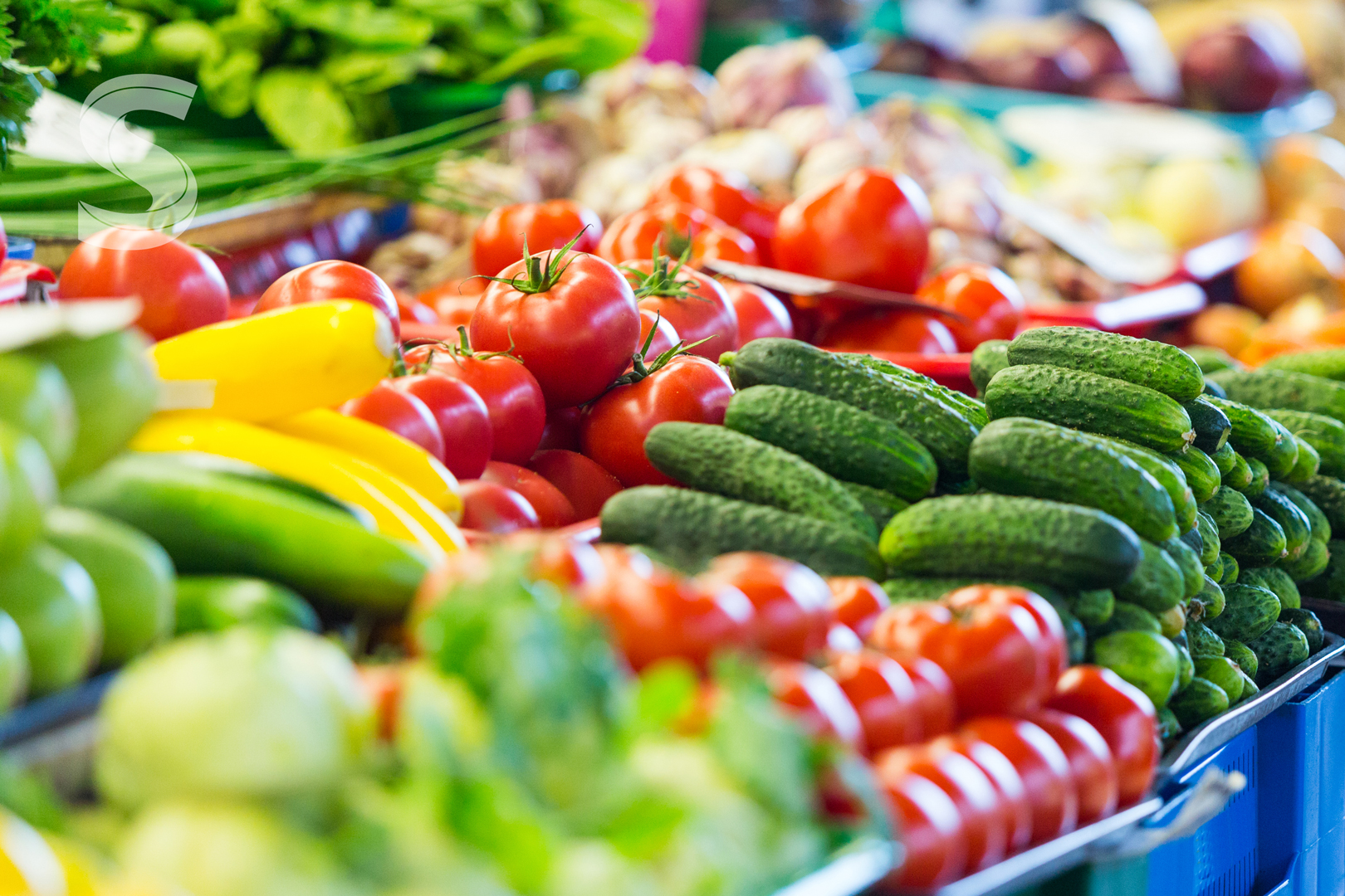 How to start a fresh fruit supply business in Nigeria