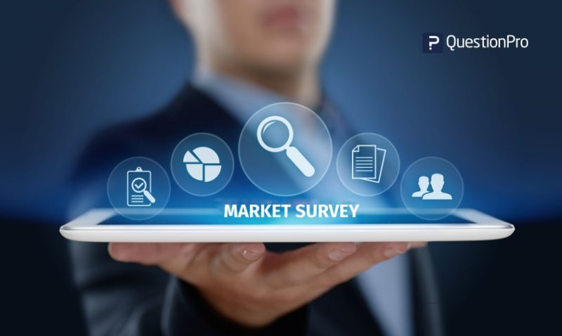 basics of market survey for small business