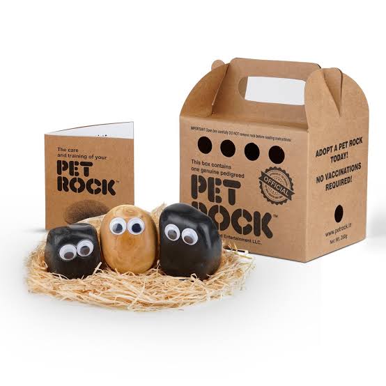 5 Crazy Business Ideas That Raked In Millions