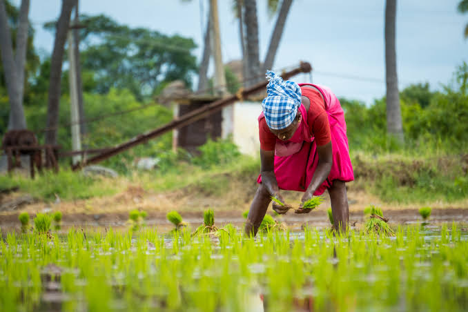 Gates Foundation equips women farmers through agro marketing workshop