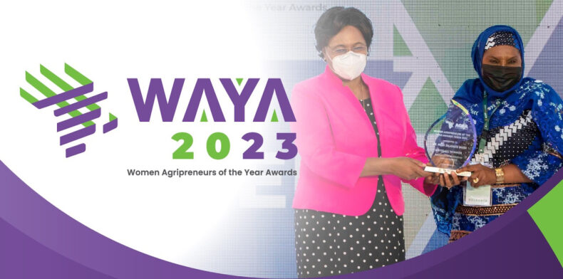 2023 VALUE4HER Women Agripreneurs of the Year Awards: Call for Applications