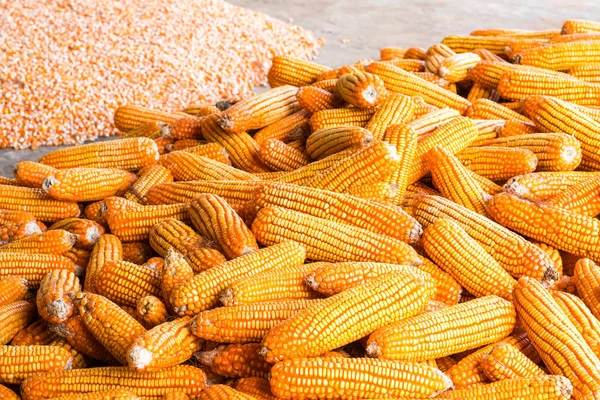 Post-Harvest Handling: A Challenge to Food Security