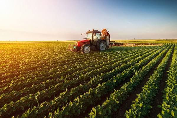 Action Over Policy: Priorities for SA’s New Agri Leadership