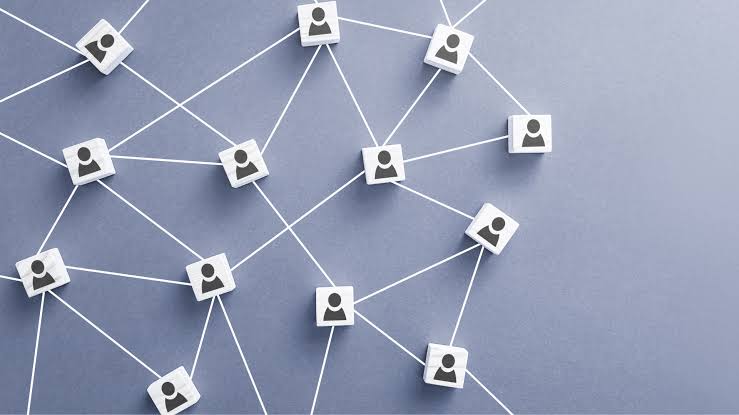 Cross-Industry Mentorship: Innovation’s Secret Weapon