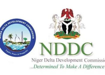 NDDC Invests N10bn in Small Businesses Across Region