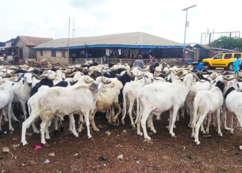 Sallah 2025: How High Ram Prices and Food Inflation Are Making Nigeria’s Eid Festival Unaffordable