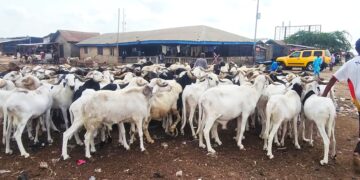 Sallah 2025: How High Ram Prices and Food Inflation Are Making Nigeria’s Eid Festival Unaffordable