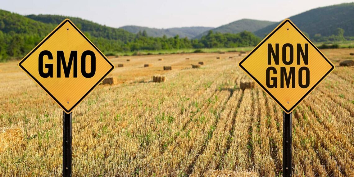 Nigeria agricultural mechanization or GMOs