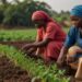 Women Agric Society Disburses ₦400m Loans to Empower Female Farmers