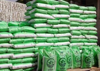 Dangote Group Partners with Ethiopia for Massive 3mmt Fertiliser Facility