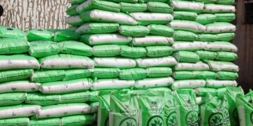 Dangote Group Partners with Ethiopia for Massive 3mmt Fertiliser Facility