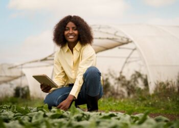 Regis Ohia Foundation Entrepreneurship Grant 2025