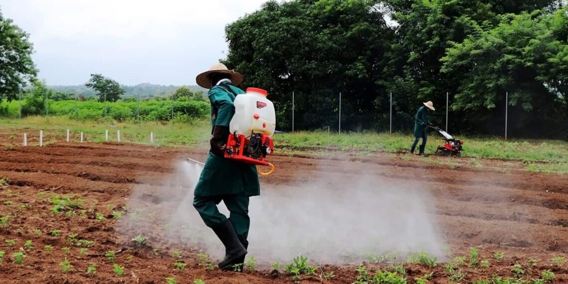 IITA Youth in Agribusiness Training Opens in Ibadan
