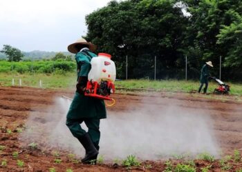 IITA Youth in Agribusiness Training Opens in Ibadan