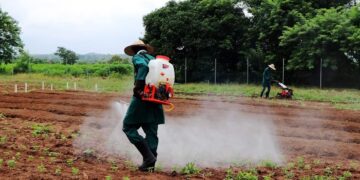 IITA Youth in Agribusiness Training Opens in Ibadan