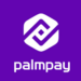 PalmPay Partners with Nigerian Ministry to Train One Million Youth in Data Protection programme
