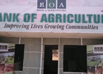 Afreximbank, BOA seal $1bn deal for Nigerian farmers