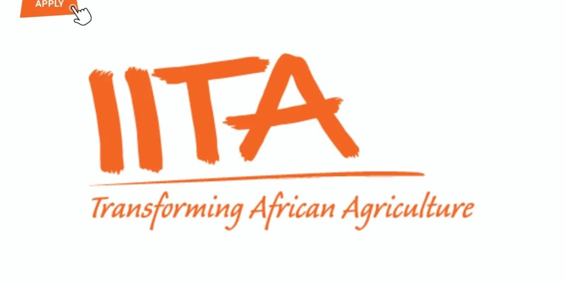 IITA Opens 2026 Agricultural Enterprise Training Program