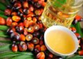 Palm Oil: How Nigeria Lost Its Crown to Malaysia