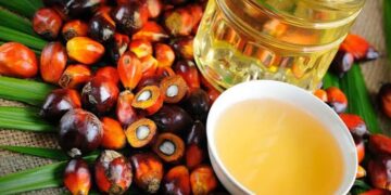 Palm Oil: How Nigeria Lost Its Crown to Malaysia