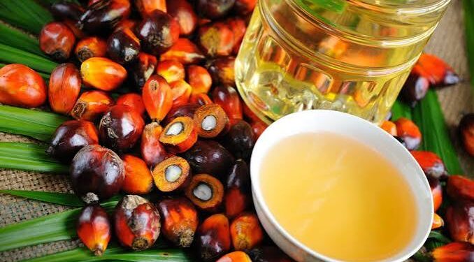 Palm Oil: How Nigeria Lost Its Crown to Malaysia
