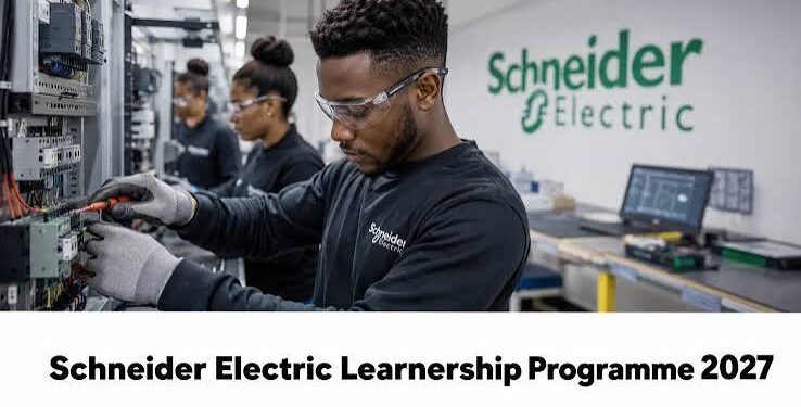 Schneider Electric Learnership Programme 2027