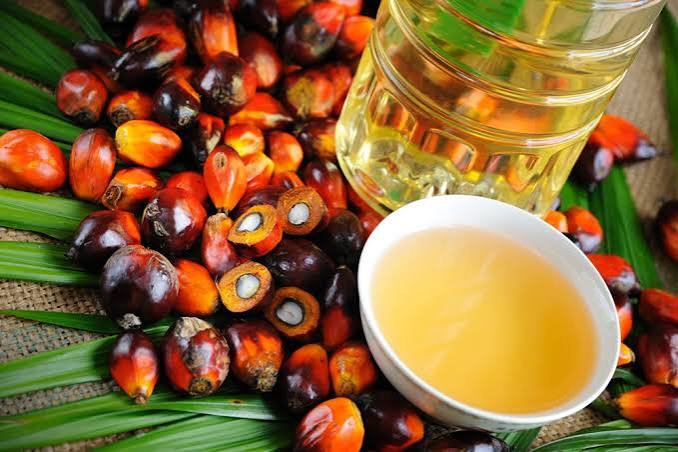 Palm Oil: How Nigeria Lost Its Crown to Malaysia
